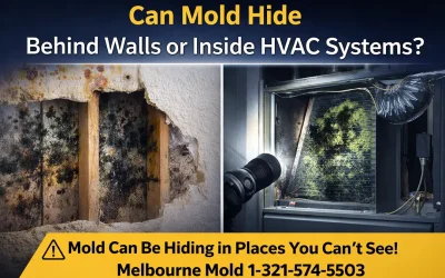 Can Mold Be Detected Behind Walls or in HVAC Systems?